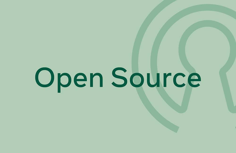 Meta Open Source Allyship